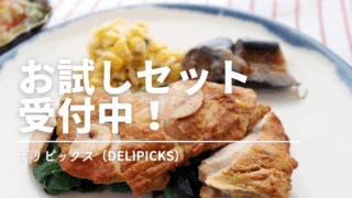 デリピックスの2,980円「お試しセット」を解説|メニューと実食レビュー